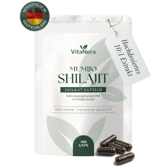 Shilajit Kapseln