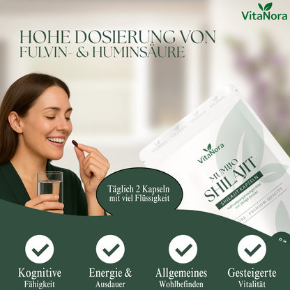 Shilajit Kapseln